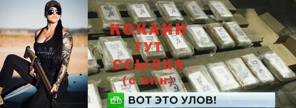 шишки Богданович