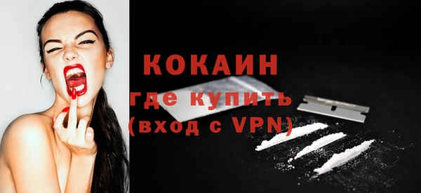 шишки Богданович