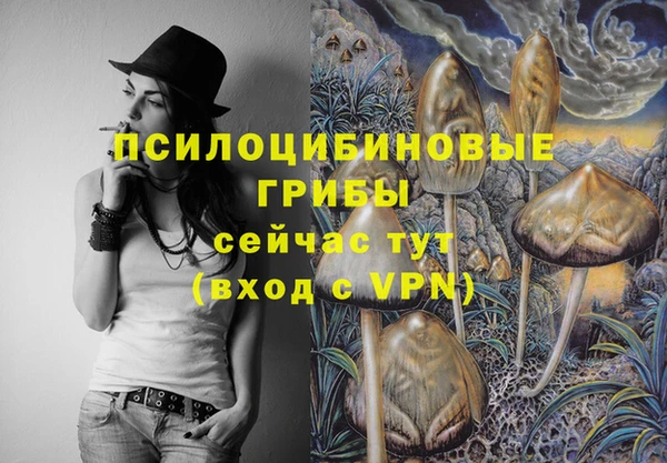шишки Богданович