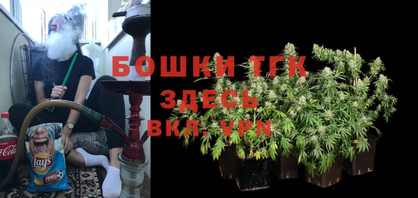 шишки Богданович
