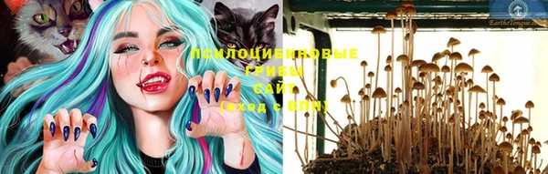 шишки Богданович